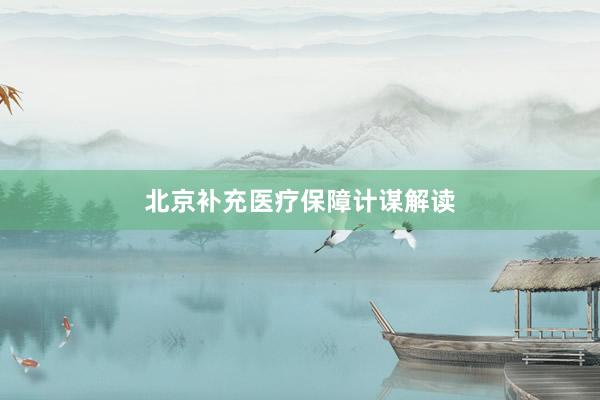 北京补充医疗保障计谋解读
