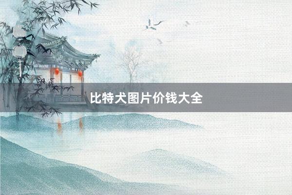 比特犬图片价钱大全