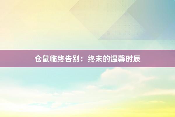 仓鼠临终告别：终末的温馨时辰